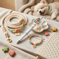 Dog accessories including a leash, pen, and bracelet on an open book with a sleeping dog in the background.